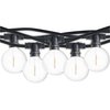 Bulbrite 14-foot String Light Kit with Clear Shatter Resistant Globe G16 LED Light Bulbs, 2PK 862815